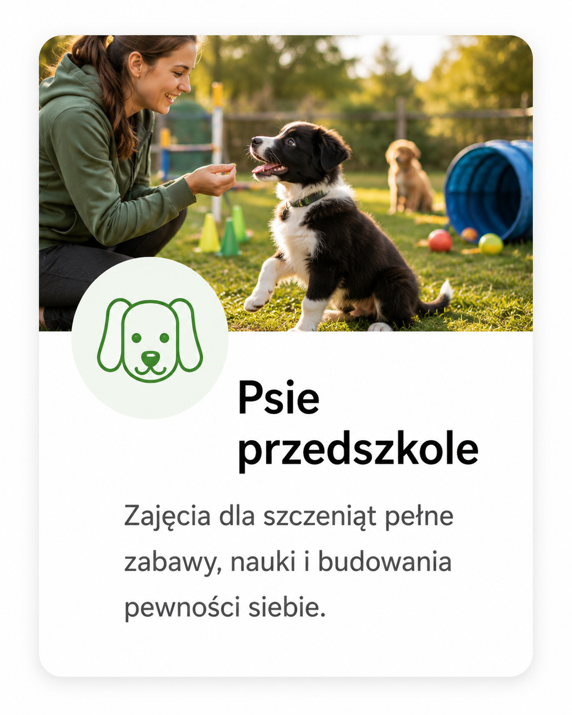 Szczeniak podczas zajęć psiego przedszkola
