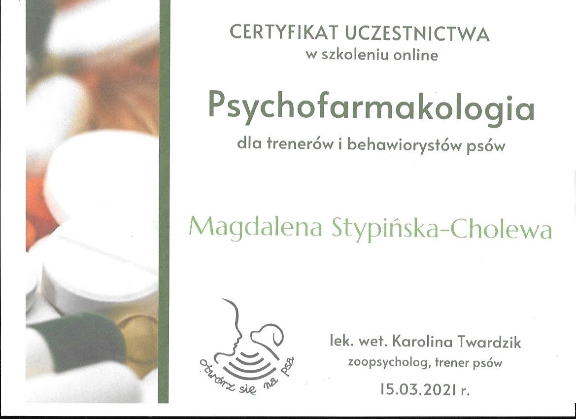 Certyfikat 3